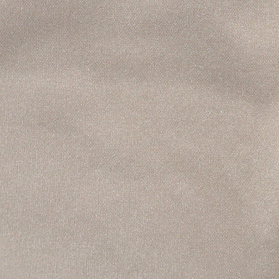 CHRISTIAN FISCHBACHER FABRICS-CH 01454540-TAFFETA BS-MIST
