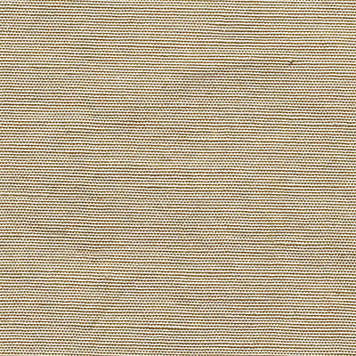 CHRISTIAN FISCHBACHER FABRICS-CH 01474410-BELUNA-CASHEW