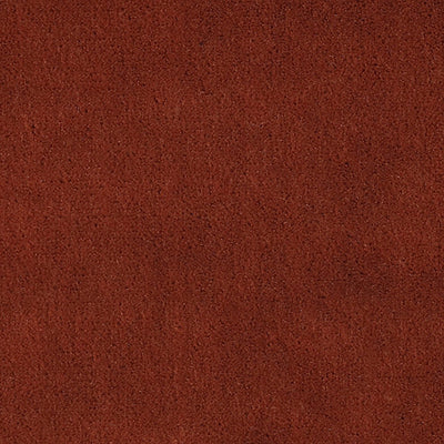 CHRISTIAN FISCHBACHER FABRICS-CH 01534300-APOLLODOR-GUAVA