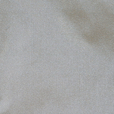 CHRISTIAN FISCHBACHER FABRICS-CH 01554540-TAFFETA BS-STEEL
