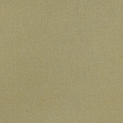 CHRISTIAN FISCHBACHER FABRICS-CH 01574270-ARAMENA-HAZEL