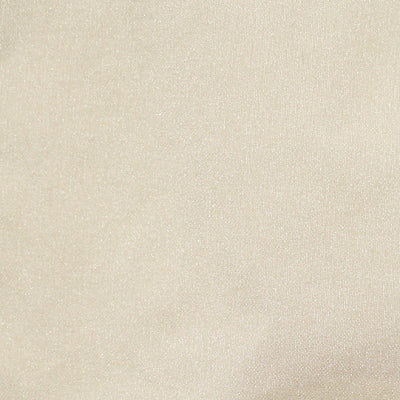CHRISTIAN FISCHBACHER FABRICS-CH 01774540-TAFFETA BS-PUMICE STONE