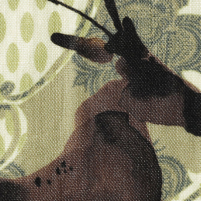 CHRISTIAN FISCHBACHER FABRICS-CH 02044132-CHAMONIX-KIWI