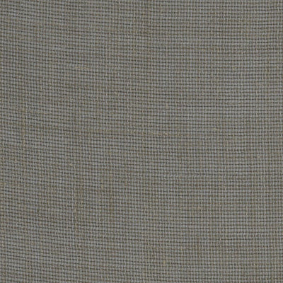 CHRISTIAN FISCHBACHER FABRICS-CH 02052712-LUXURY NET-DOVE