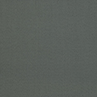 CHRISTIAN FISCHBACHER FABRICS-CH 02372782-ARETHA-FLANNEL