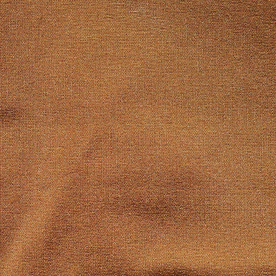 CHRISTIAN FISCHBACHER FABRICS-CH 02434540-TAFFETA BS-TOAST