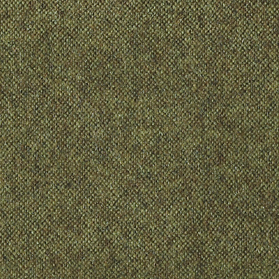 CHRISTIAN FISCHBACHER FABRICS-CH 03044393-POLARIS-MOSS