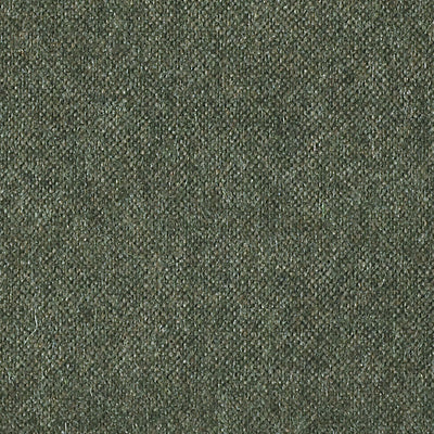 CHRISTIAN FISCHBACHER FABRICS-CH 03144393-POLARIS-MOSS