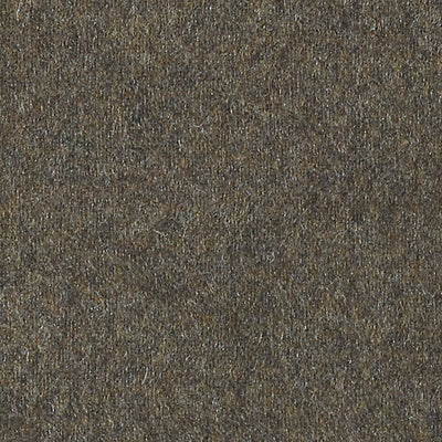 CHRISTIAN FISCHBACHER FABRICS-CH 03574393-POLARIS-BRAZILNUT