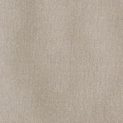 CHRISTIAN FISCHBACHER FABRICS-CH 04011437-FATA MORGANA-PEWTER