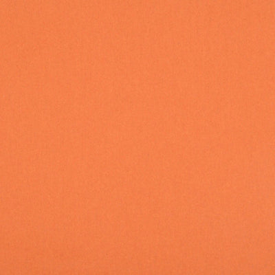 CHRISTIAN FISCHBACHER FABRICS-CH 04031445-BENU REMIX-KUMQUAT