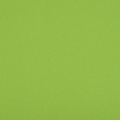 CHRISTIAN FISCHBACHER FABRICS-CH 04041445-BENU REMIX-GRASS