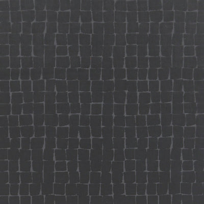 CHRISTIAN FISCHBACHER FABRICS-CH 04061451-ALLEGRO FR-ONYX