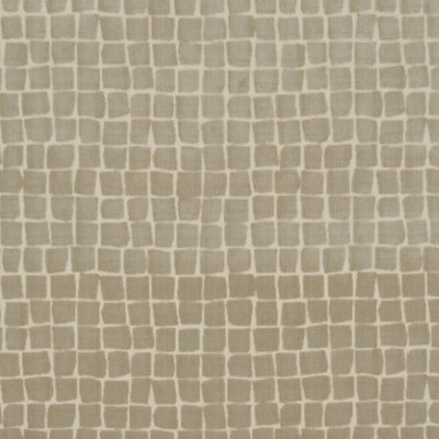 CHRISTIAN FISCHBACHER FABRICS-CH 04071451-ALLEGRO FR-TAUPE