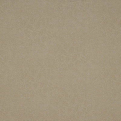 CHRISTIAN FISCHBACHER FABRICS-CH 04174504-PHOENIX DOT-BONE