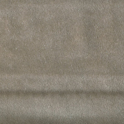 CHRISTIAN FISCHBACHER FABRICS-CH 04374404-VITUS-PUTTY