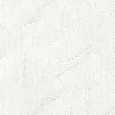 CHRISTIAN FISCHBACHER FABRICS-CH 05001436-DEBUT-SNOW
