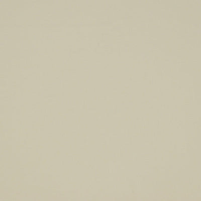 CHRISTIAN FISCHBACHER FABRICS-CH 05072755-BON TON-IVORY