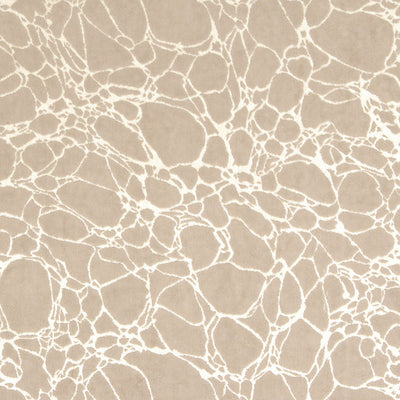 CHRISTIAN FISCHBACHER FABRICS-CH 05074485-VELVET MARBLE-TAUPE