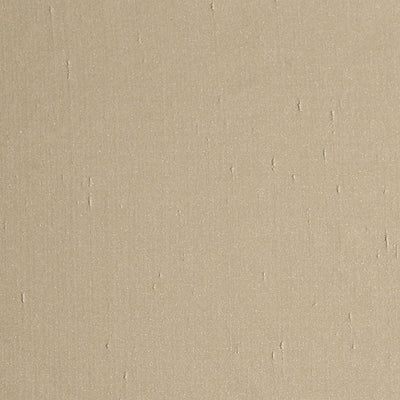 CHRISTIAN FISCHBACHER FABRICS-CH 05134555-AIM-TAN