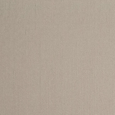 CHRISTIAN FISCHBACHER FABRICS-CH 05374555-AIM-TAUPE