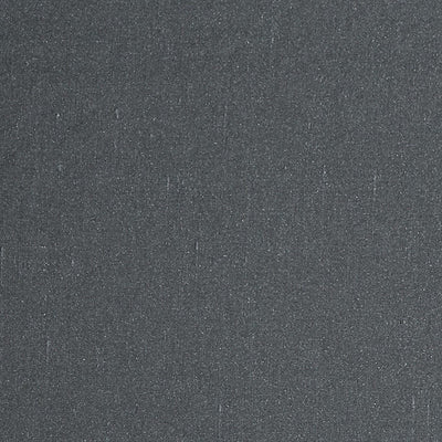 CHRISTIAN FISCHBACHER FABRICS-CH 05454555-AIM-GRAPHITE