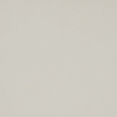 CHRISTIAN FISCHBACHER FABRICS-CH 06002746-MADREPERLA-ICE