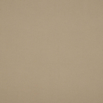 CHRISTIAN FISCHBACHER FABRICS-CH 06074476-SUPERB-TAN