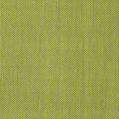 CHRISTIAN FISCHBACHER FABRICS-CH 06144176-ALSARA-KIWI