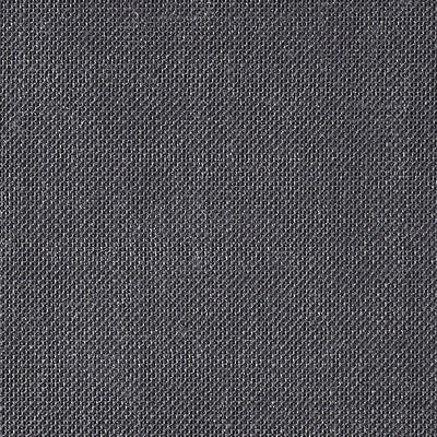 CHRISTIAN FISCHBACHER FABRICS-CH 06154176-ALSARA-SLATE
