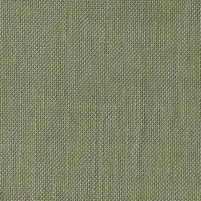 CHRISTIAN FISCHBACHER FABRICS-CH 06244176-ALSARA-NETTLE