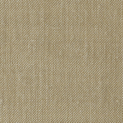 CHRISTIAN FISCHBACHER FABRICS-CH 06674176-ALSARA-BIRCH
