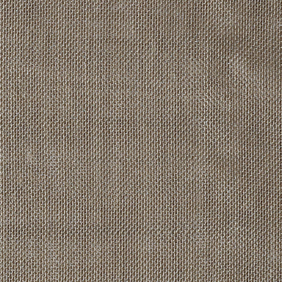 CHRISTIAN FISCHBACHER FABRICS-CH 06774176-ALSARA-DRIFTWOOD