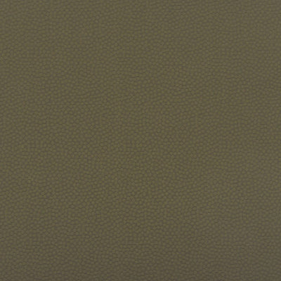 CHRISTIAN FISCHBACHER FABRICS-CH 07044477-STERLING-OLIVE