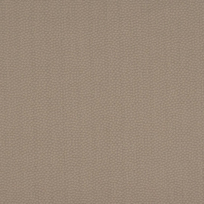 CHRISTIAN FISCHBACHER FABRICS-CH 07074477-STERLING-TRUFFLE