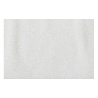 CHRISTIAN FISCHBACHER FABRICS-CH 09102519-GEORGETTE-PEARL