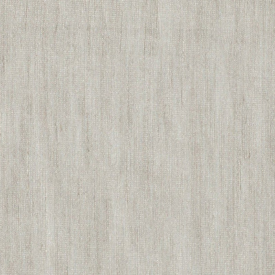 CHRISTIAN FISCHBACHER FABRICS-CH 09252639-GHIACCIATO UNITO-ASH