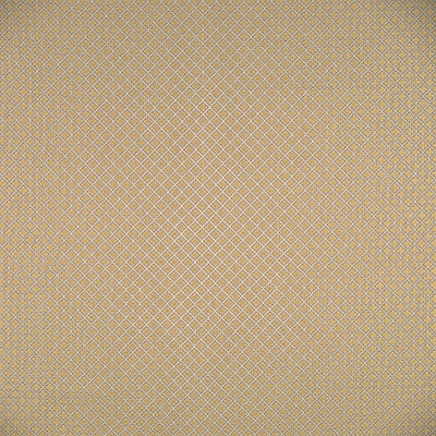 COLONY FABRICS-CL 000126521-BELGRAVIA TRELLIS-COLONIALE