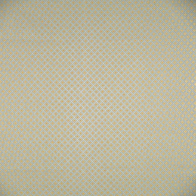 COLONY FABRICS-CL 000326521-BELGRAVIA TRELLIS-CELESTE