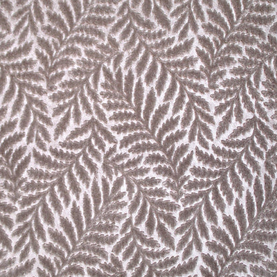 COLONY FABRICS-CL 000336423-CANOVA FOUGERE-TORTORA