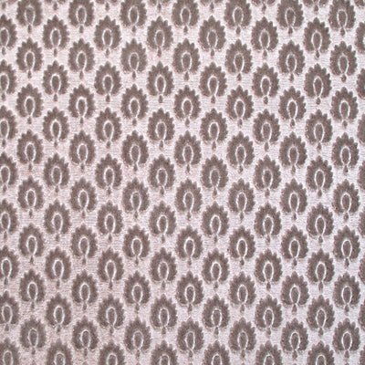COLONY FABRICS-CL 000336424-CANOVA SEMIS-TORTORA