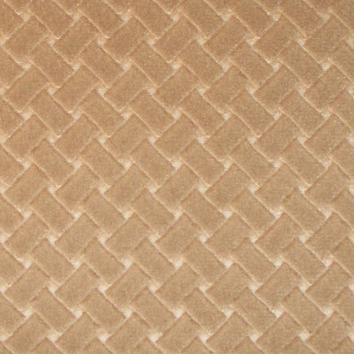 COLONY FABRICS-CL 000436433-ARGO CANESTRINO-CASTORO