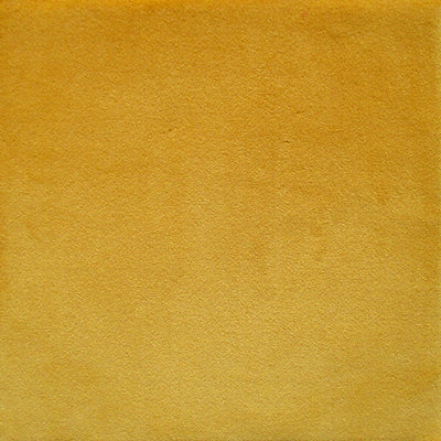 COLONY FABRICS-CL 000436439-PEDRO-ORO