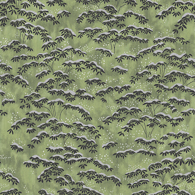 COLONY WALLCOVERING-CL 0005WP36397-SAGANO-VERDE