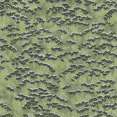 Colony Wallcovering, a selection of wallpaper such as Botanical , Foliage.