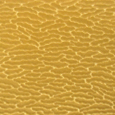Colony Fabrics , a selection of fabrics such as velvet, damask, cotton, silk, linen and sheers.