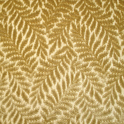 COLONY FABRICS-CL 000636423-CANOVA FOUGERE-ORO
