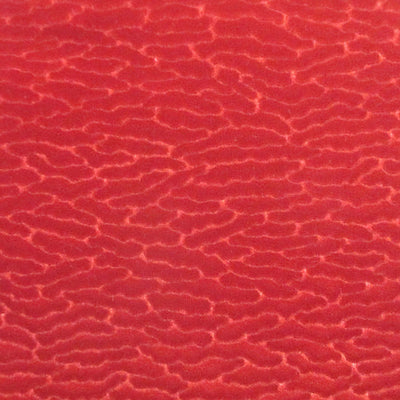 COLONY FABRICS-CL 001036407-ERACLE GOFFRATO-CILIEGIA