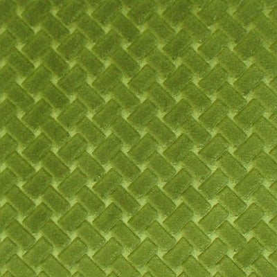 COLONY FABRICS-CL 002436433-ARGO CANESTRINO-MUSCHIO