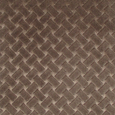 COLONY FABRICS-CL 002636433-ARGO CANESTRINO-ELEFANTE